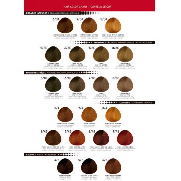 Fidelité Color Master Tintura en pomo x 60gr N° 6.6